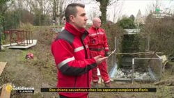 Des chiens-sauveteurs chez les sapeurs-pompiers de Paris - La Quotidienne