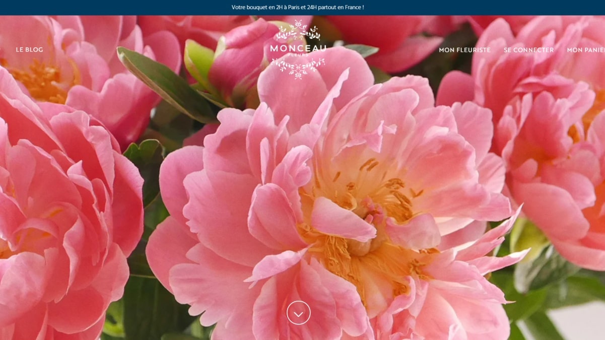 Monceau Fleurs annonce la mise en ligne du nouveau site e-commerce Monceau  Fleurs