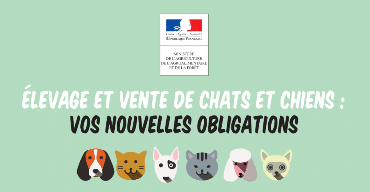 Animalerie - René MICHAU, Président du PRODAF répond  aux 155 députés qui ont signé la proposition de loi pour lutter contre les  maltraitances faites aux animaux de compagnie
