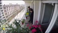300 euros pour végétaliser son balcon : on a relevé le défi ! - La Quotidienne