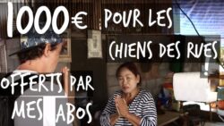 1000 EUROS OFFERTS PAR MES ABOS POUR LES CHIENS DES RUES !! - TOOPET