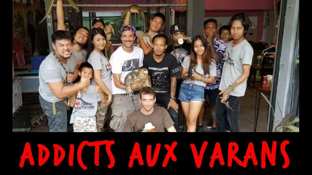 ADDICTS AUX VARANS - VLOG THAILANDE - TOOPET