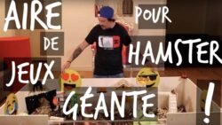 AIRE DE JEUX GEANTE POUR HAMSTER !! - TOOPET