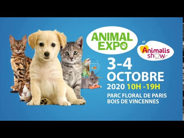 ANIMAL EXPO - ANIMALIS SHOW Parc Floral de Paris 3 et 4 octobre 2020
