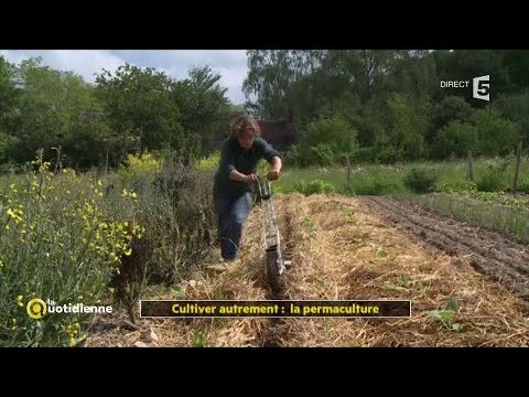 Cultiver autrement : la permaculture
