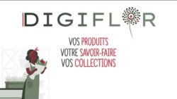 Digiflor-plateformeB2B-secteur-floral-et-vegetal
