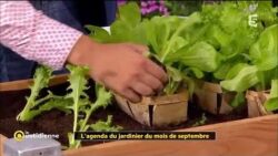 L'agenda du jardinier du mois de Septembre