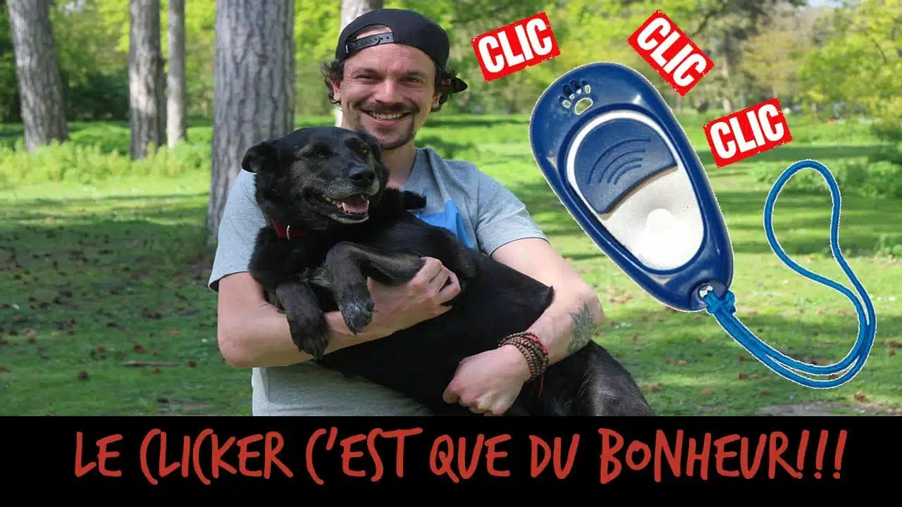 LE CLICKER, C'EST QUE DU BONHEUR ! - TOOPET