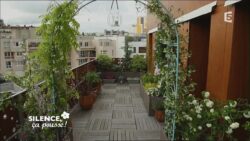 Transformation d'un balcon en espace vert - Pas de panique - Silence ça pousse