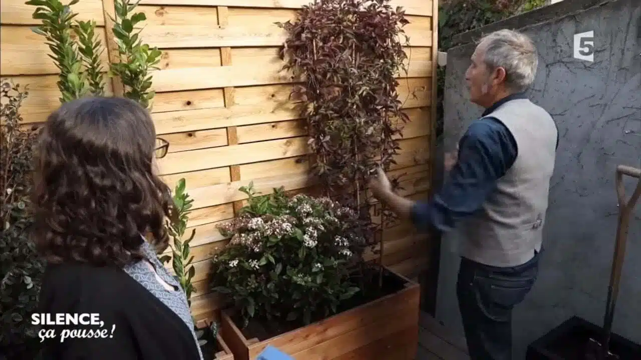 Pas de panique chez Claire : végétaliser une terrasse en bois - Silence, ça pousse !