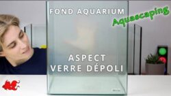[Tuto] Aquarium verre dépoli