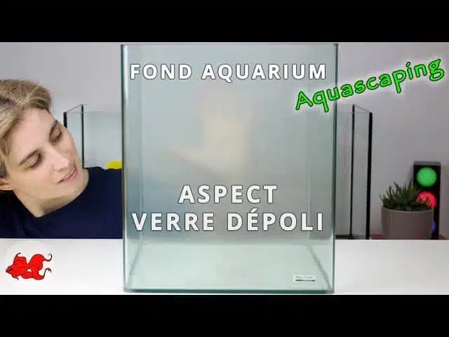 [Tuto] Aquarium verre dépoli