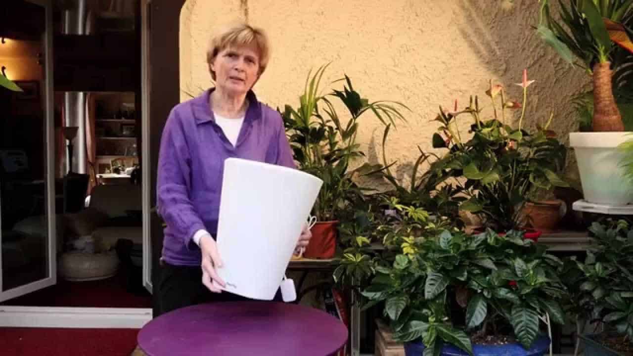 UN NOUVEAU POT CONNECTÉ ET QUI ARROSE TOUT SEUL