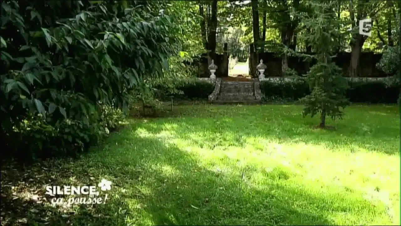 Visite du jardin du château de Mongenan - Silence, ça pousse !