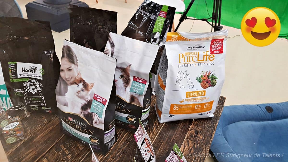 [Photo] Parc Floral Paris Animal Expo Animalis Show Tout le monde