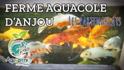 Les partenariats - La Ferme Aquacole d'Anjou - Aquaponia l'aquaponie by Echologia