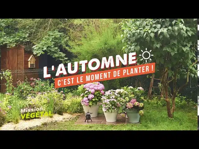 L'automne, c'est le moment de planter !