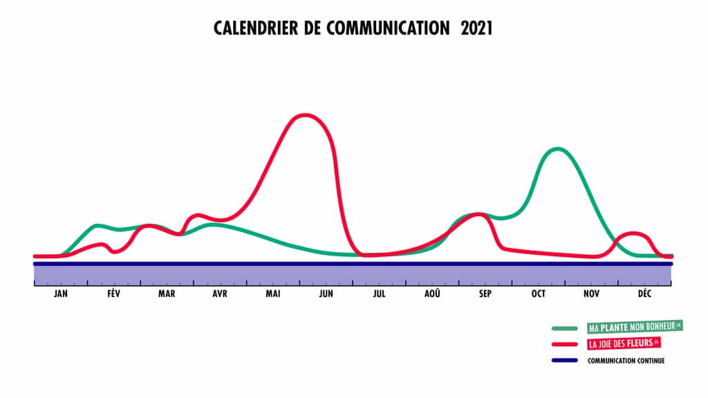 [Vidéo] Office Hollandais des Fleurs - Notre présentation annuelle - Que s’est-il passé en 2020 et qu’allons-nous faire en 2021 ?