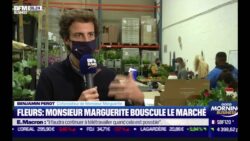 BFM BUSINESS - Monsieur Marguerite - 25/11/20