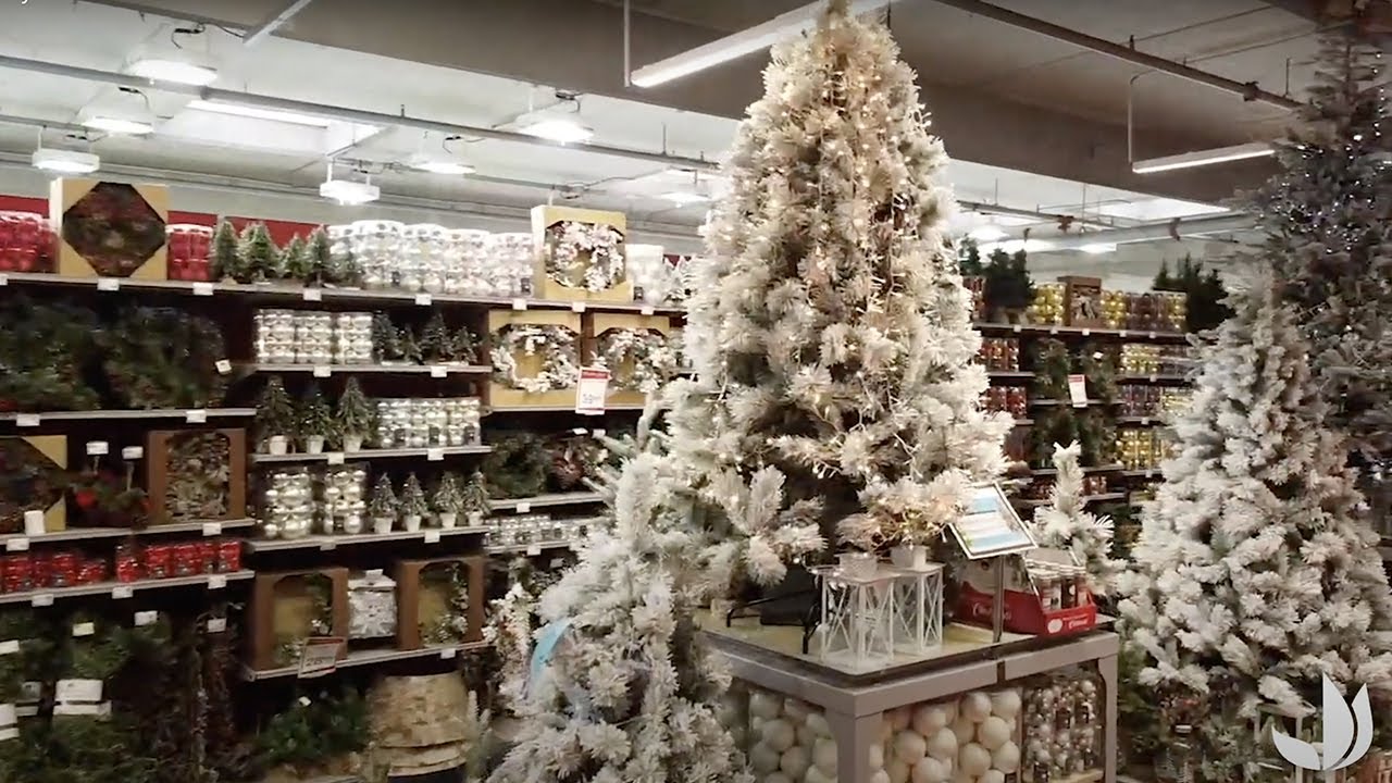 [Vidéo] Collection Noël 2020 Magasin IvrysurSeine  Truffaut