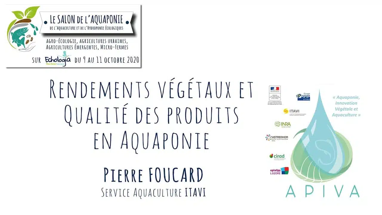 Salon aquaponie 2020 - 06 - Rendement végétal et qualité des produits, Pierre FOUCARD, ITAVI-APIVA