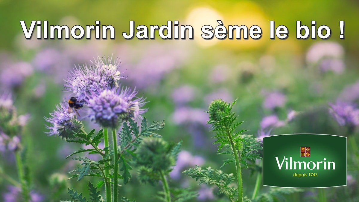 Vilmorin-Jardin-seme-le-bio-Nouveaute-2021-JAF-info-Jardinerie.