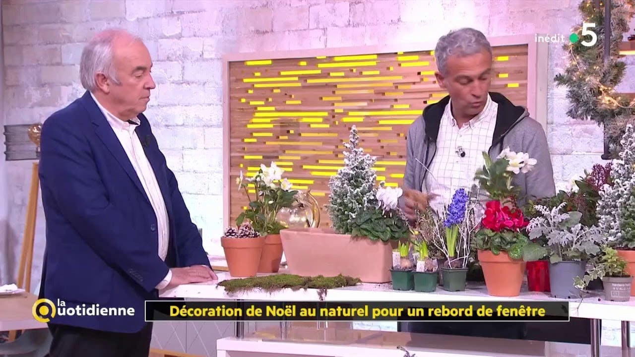 Décoration de Noël au naturel pour un rebord de fenêtre - La Quotidienne