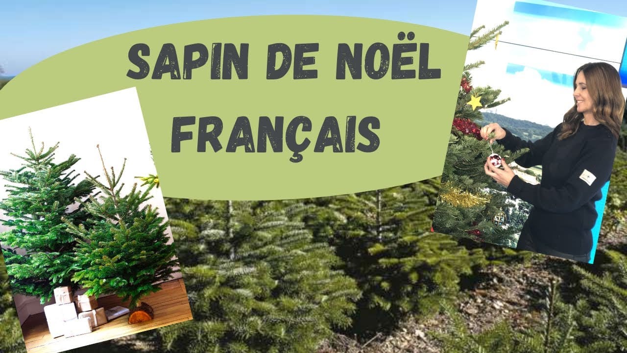 SAPIN DE NOËL FRANÇAIS #sapindenoel