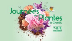 Journées des plantes de chantilly JAF-info Jardinerie Fleuriste