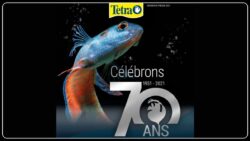 Tetra 70 ans JAF-info Animalerie