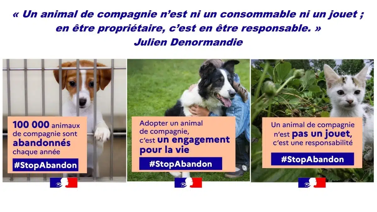 « Un animal de compagnie n’est ni un consommable ni un jouet ; en être propriétaire, c’est en être responsable. » Julien Denormandie JAF-info Animalerie