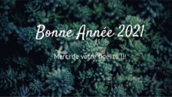 BONNES FETES DE FIN D'ANNÉE #Bonneannée2021