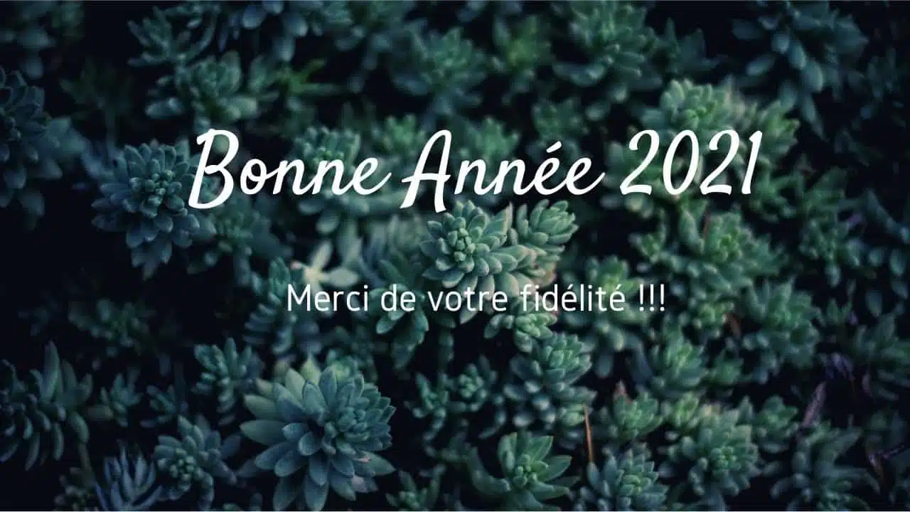 BONNES FETES DE FIN D'ANNÉE #Bonneannée2021