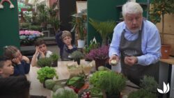 Découvrir les fruits, légumes et graines - Atelier enfants - Truffaut