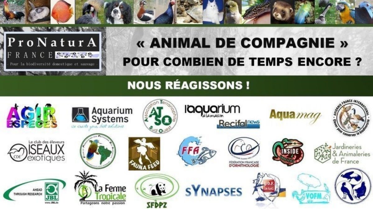 Animal de compagnie petition JAF-info Animalerie