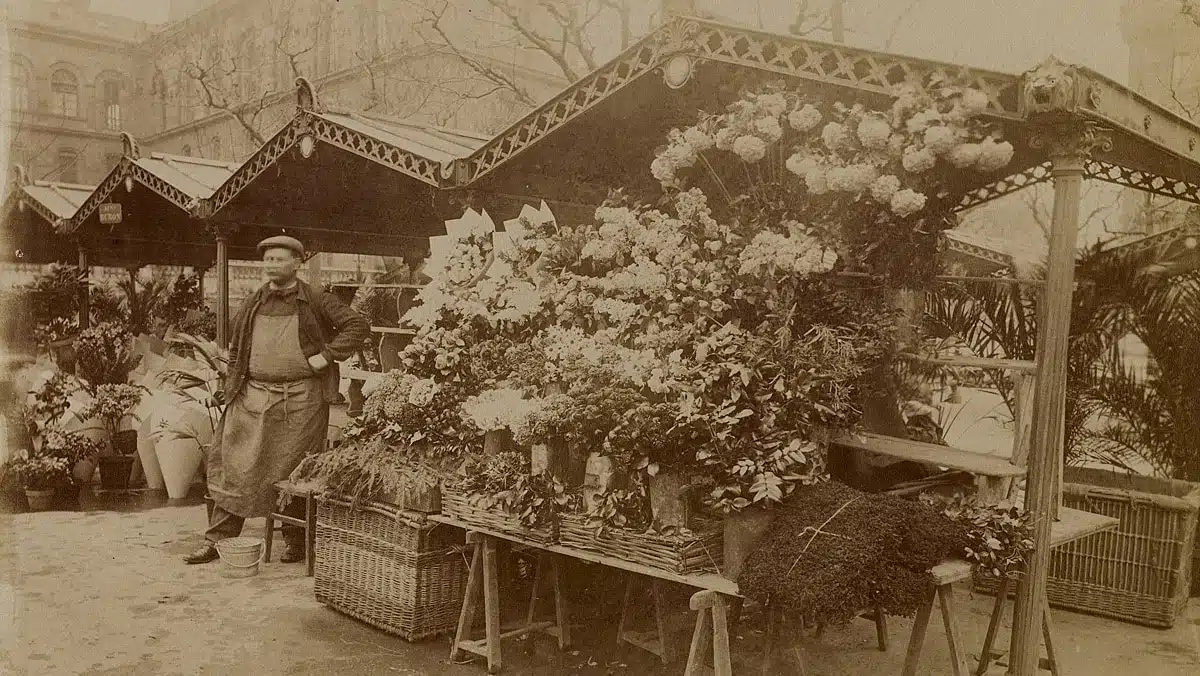 Mairie de Paris Marché aux fleurs JAF-info Fleuriste