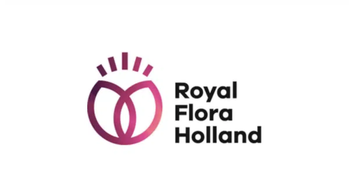 ROYAL FLORAL HOLLAND JAF-info Fleuriste