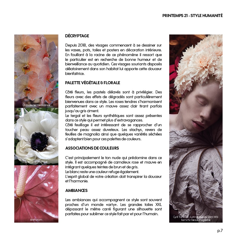Florevent Et Chlorosphère Éditent Le Guide Des Collections 2021/22 : Un Nouvel Outil À Destination Des Boutiques Indépendantes De Décoration Naturelle, Fleurs Et Plantes