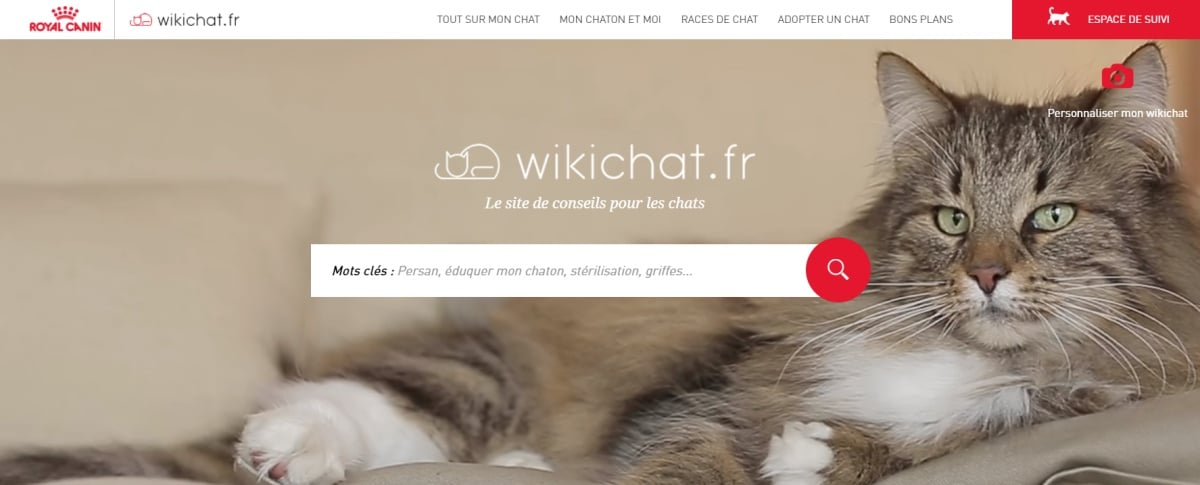 L-Encyclopédie-Du-Chat-Conseil-Chat-Wikichat Jaf-Info Animalerie