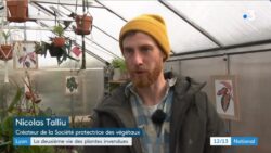 Lyon-la-SPA-des-plantes-lutte-contre-le-gaspillage-des-végétaux-JAF-info Jardinerie