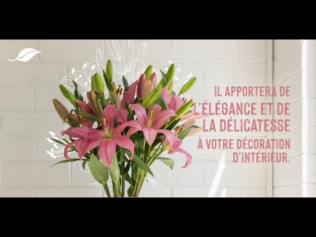Des lys à marque botanic® made in France pour votre intérieur #CitoyensDeLaNature
