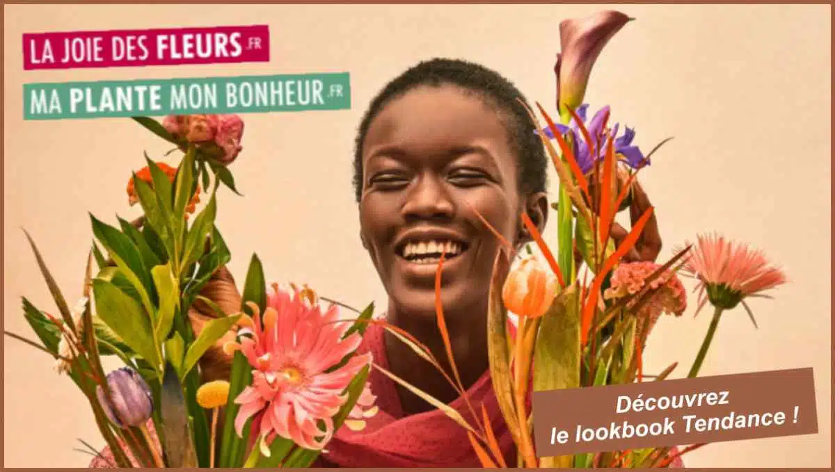 La Collection Tendance JAF-info Jardinerie Fleuriste