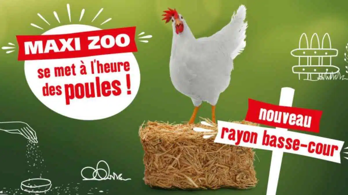 Maxi Zoo basse Cour JAF-info Animalerie
