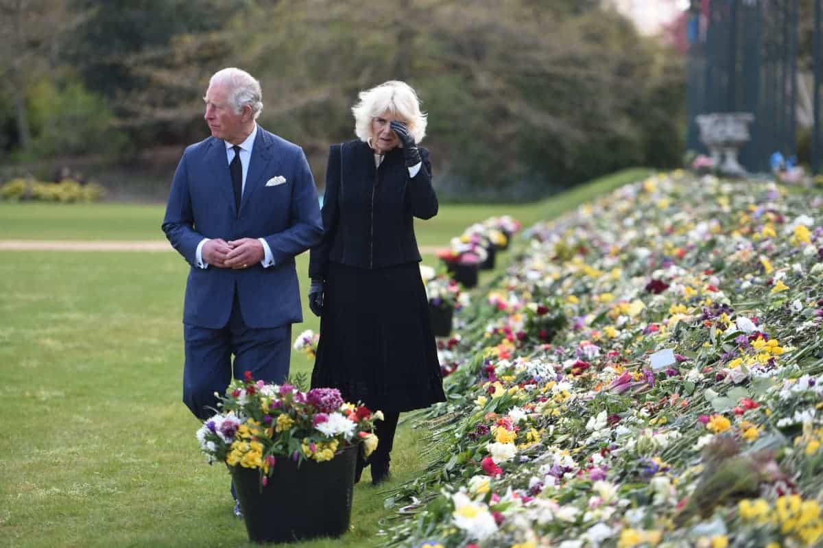 Coup De Gueule - Et Si Tous Les Fleuristes Du Monde ...