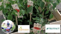 Samson horticulture JAF-info Jardinerie