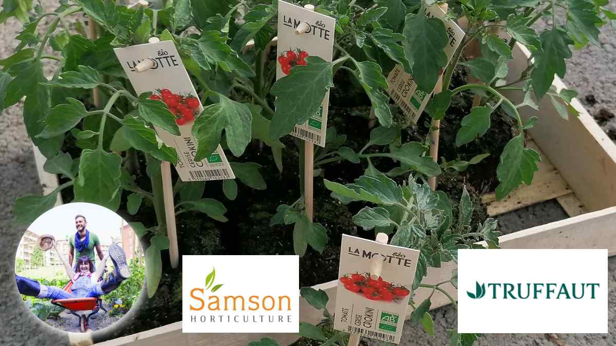 Samson horticulture JAF-info Jardinerie