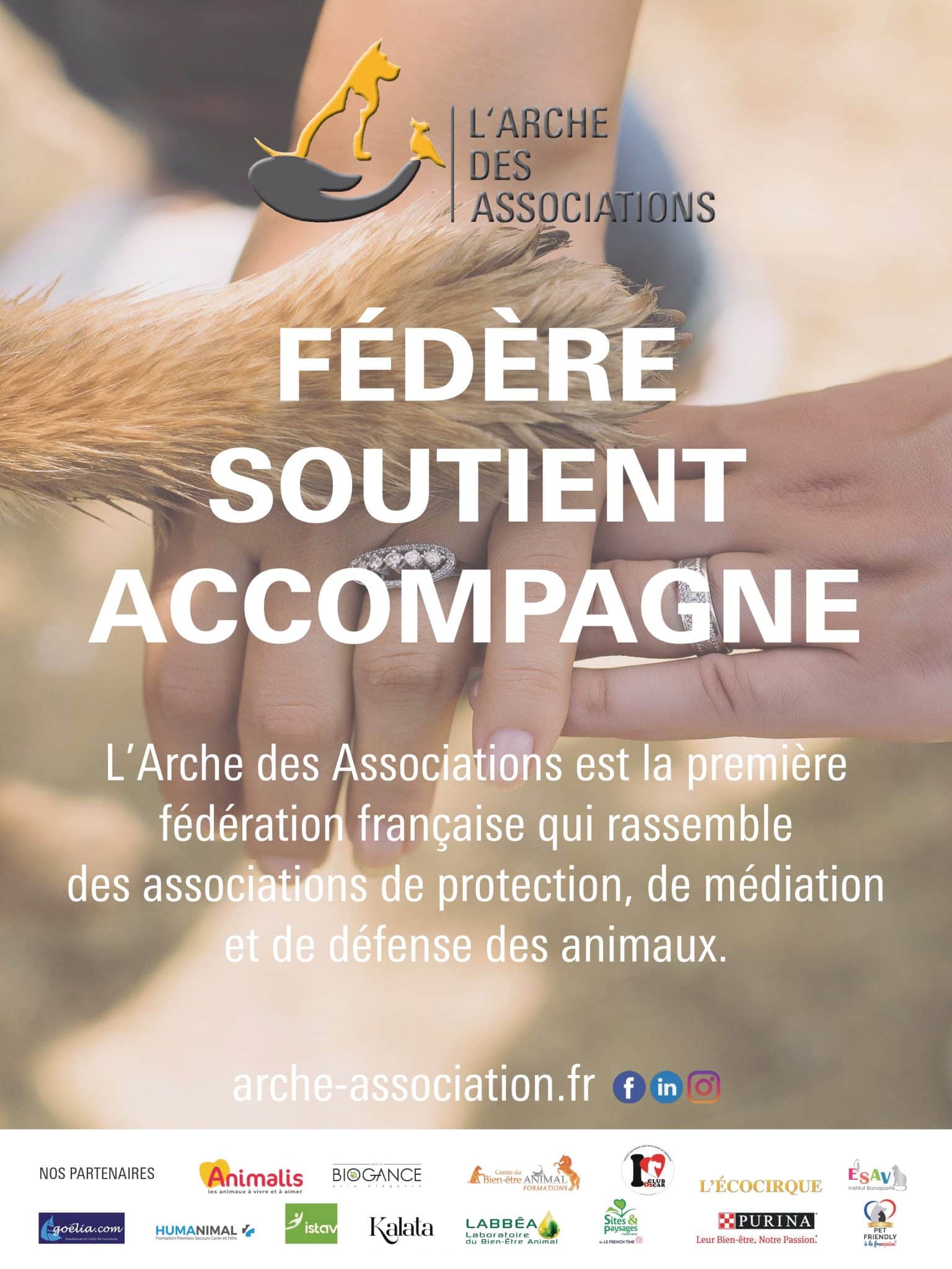 Protection, Médiation et Défense des animaux – L’Arche des Associations s’offre un nouveau site et s’ouvre à de nouveaux partenaires