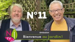 BIENVENUE AU JARDIN N°11 (le grand podcast hebdomadaire de NewsJardinTV avec Patrick et Roland)