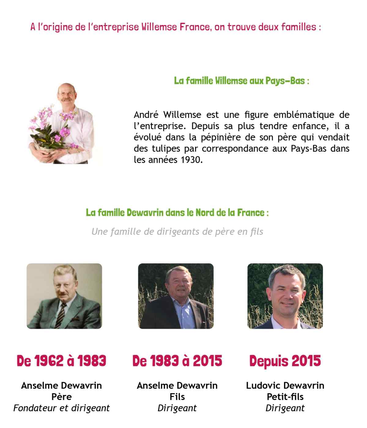 Jardinerie en ligne – WILLEMSE France – entreprise familiale – soufflera en 2022 ses 60 bougies