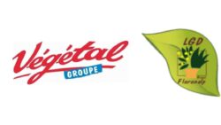 Groupe-Vegetal-Rungis-JAF-info-Jardinerie-Animalerie-Fleuriste-LGD
